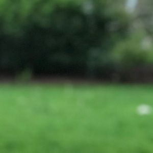 Meet your Posher, Dl